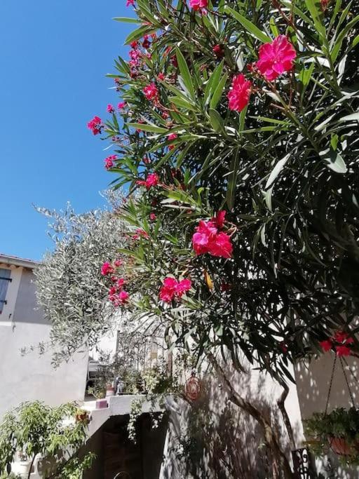 La Chamade Maison De Village Climatisee Lapalud Buitenkant foto